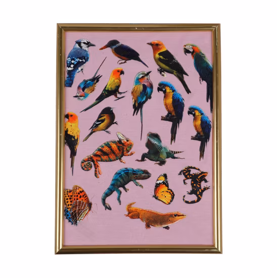 Inchiostro pigmentato siliconico liquido per serigrafia tessile con certificazione ISO